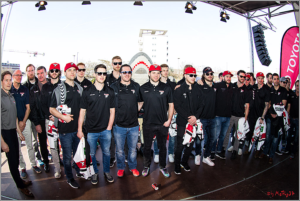 Koelner Haie Abschussparty, 26.03.2017